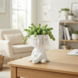 Mixed Chilling Plant Arrangement – 14cm Ceramic Pot