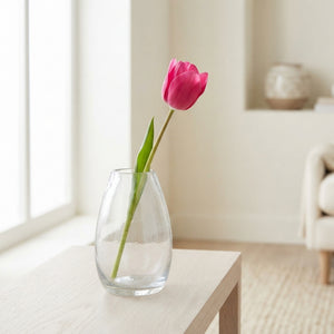Tulipa Garden Flower Power Tulip Bulbs – 12 cm