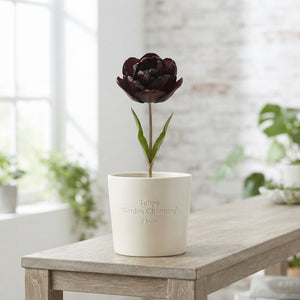 Tulipa ‘Garden Charming’ Flower Bulbs – 12/+