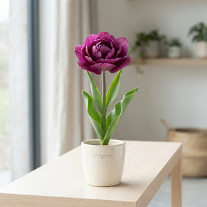 Tulipa Garden Sensation Tulip Bulbs – Pack of 10