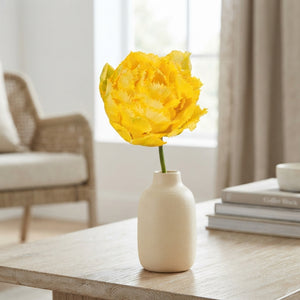 Tulipa ‘Exotic Sun’ Fringed Double Tulip Bulbs – Pack of 7