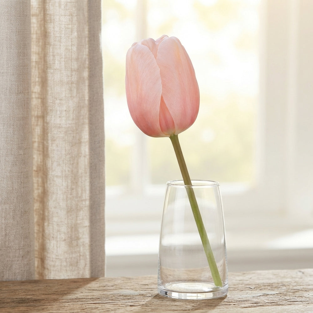 Tulip ‘Salmon Impression’ Darwin Hybrid Bulbs – 10 Pack