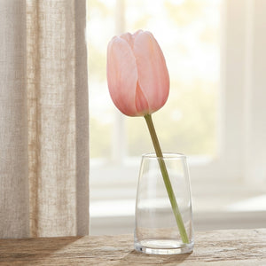 Tulip ‘Salmon Impression’ Darwin Hybrid Bulbs – 10 Pack