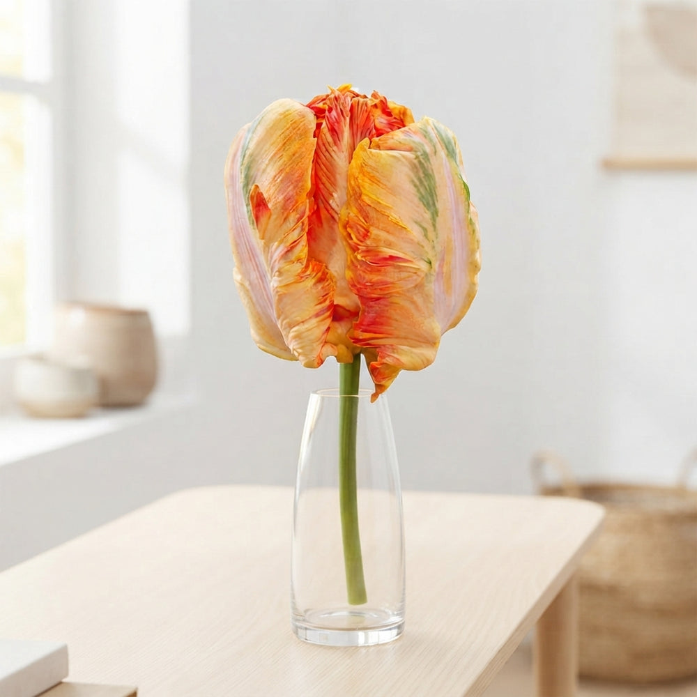 Parrot Tulip ‘King’ Flower Bulbs – 7 Bulbs