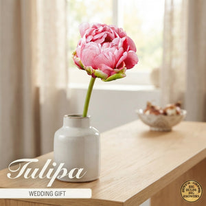 Double Late Tulip ‘Wedding Gift’ Flower Bulbs – 7 Bulbs