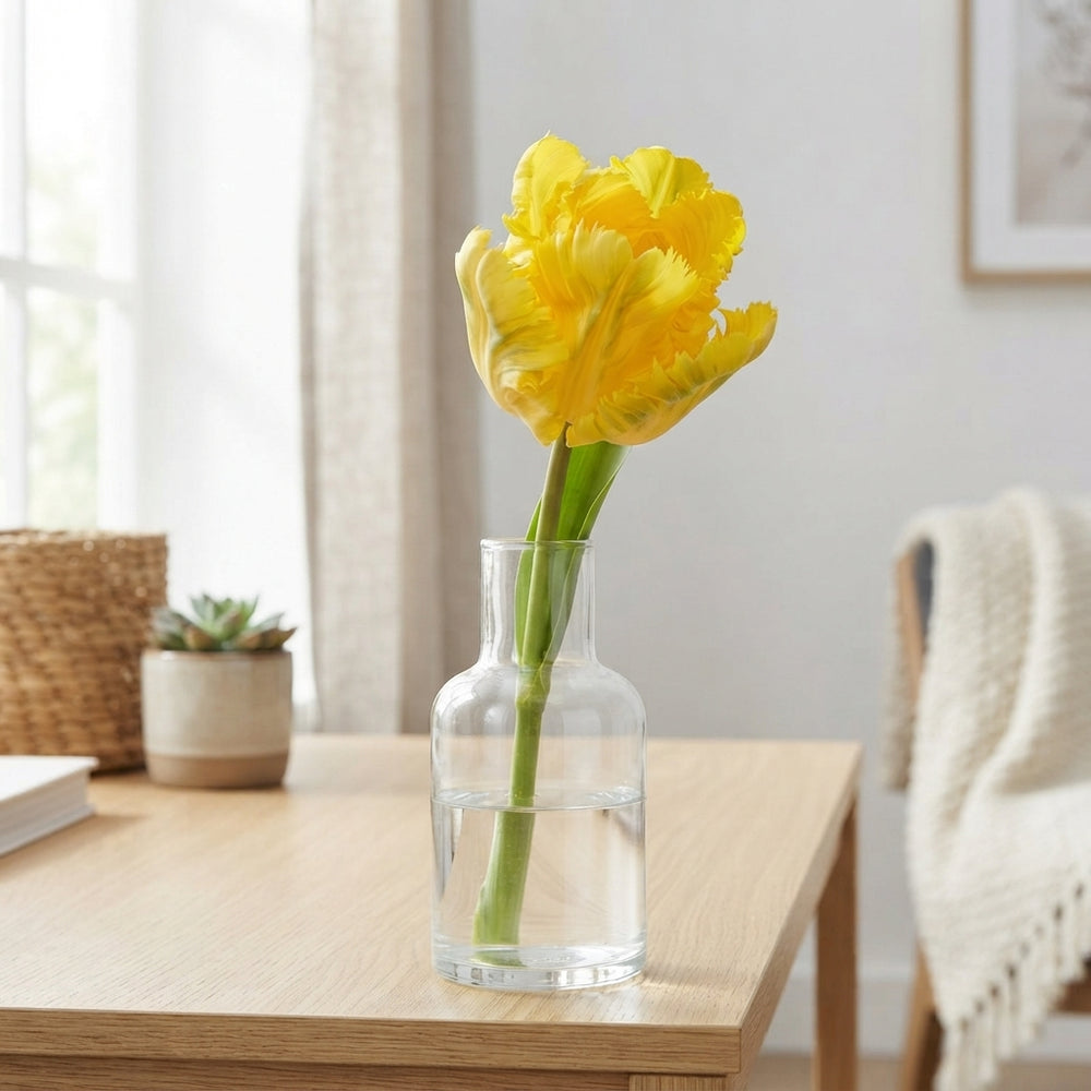 Tulip ‘Parrot Texas Gold’ Flower Bulbs – 7 Bulbs