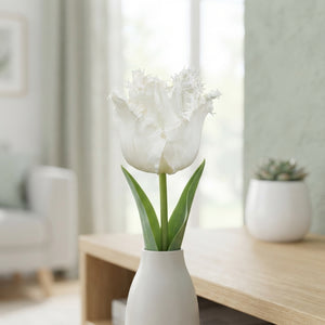 Tulipa ‘Fringed Honeymoon’ Flower Bulbs – 7 Bulbs