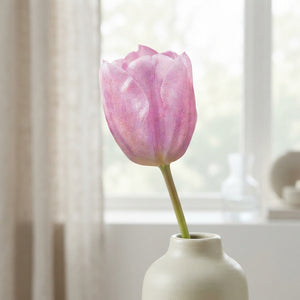 Tulip ‘Synaeda Amor’ Triumph Bulbs – 10 Pack