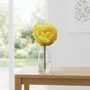 Tulipa ‘Double Early Marie Jo’ Flower Bulbs – 7 Bulbs