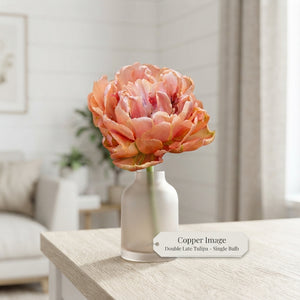 Double Late Tulip ‘Copper Image’ Flower Bulbs – 7 Bulbs