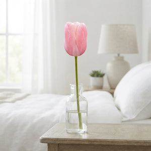 Menton Single Late Tulip Bulbs – Pack of 7