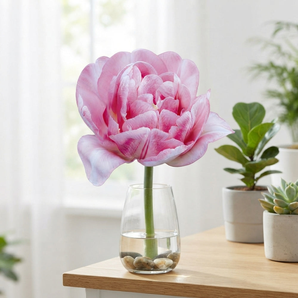 Tulipa Double Early ‘Foxtrot’ Flower Bulbs – 7 Pack