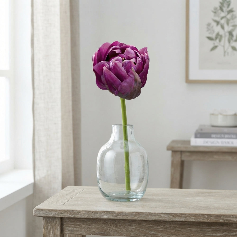 Double Late Tulip ‘Negrita Double’ Bulbs – Size 12