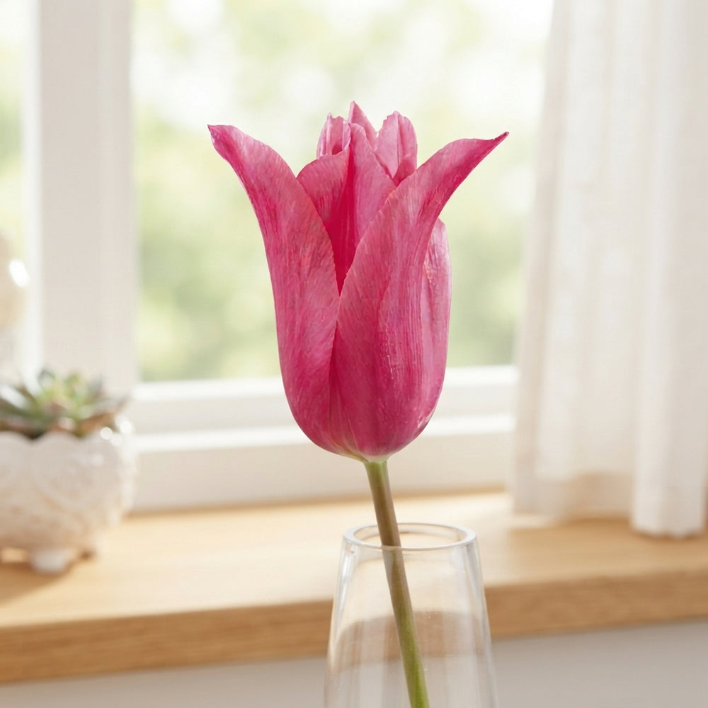 Tulipa Lily-Flowering ‘Pretty Love’ Bulbs – 7 Pack