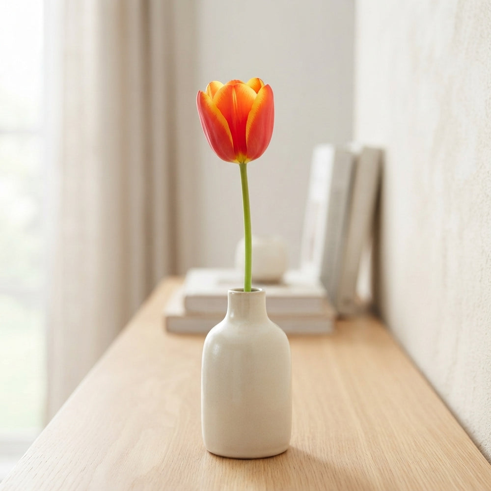 World’s Favourite Darwin Hybrid Tulip Bulbs – 10 Pack