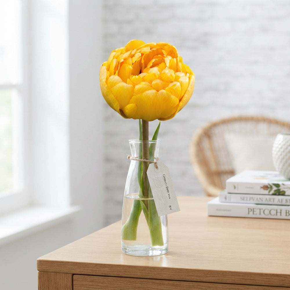 Yellow Pomponette Double Late Tulip Bulbs – Pack of 7