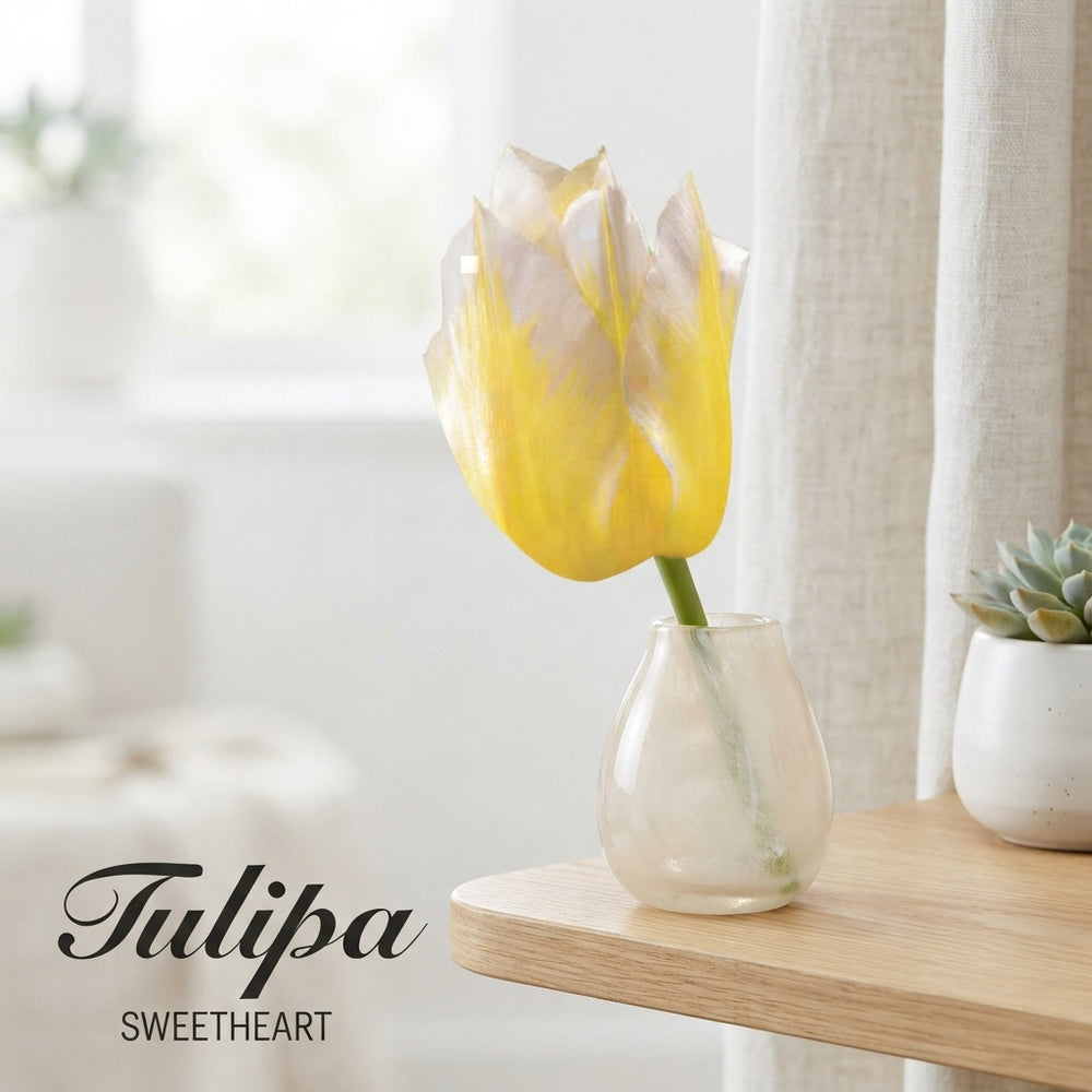 Tulipa Fosteriana ‘Sweetheart’ Tulip Bulbs – 7 Pack