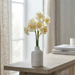 Narcissus ‘Bridal Crown’ Flower Bulbs – Pack of 6