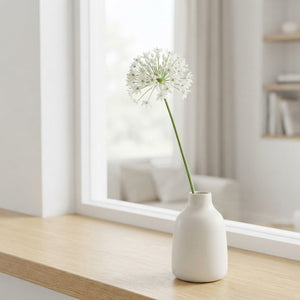 Allium neapolitanum Flower Bulbs – Mixed Colour