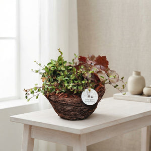 Salim Decorative Plant Arrangement – 26cm Pot