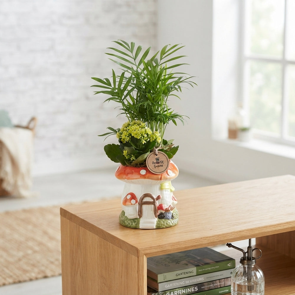 Gnome Plant Arrangement – 15cm Ceramic Pot