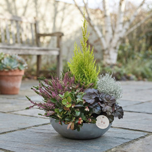 Autumn Plant Arrangement in Zinc Bowl – 30cm