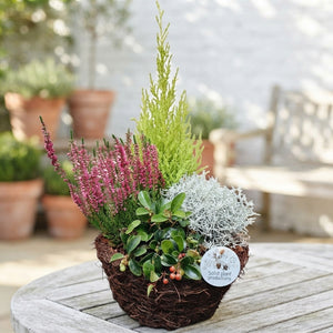 Salim Medium Decorative Plant Arrangement – 26cm Pot