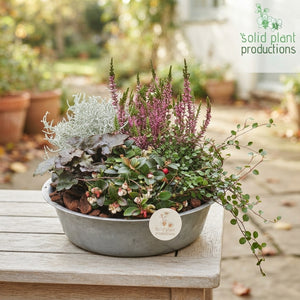 Autumn Plant Arrangement in Zinc Bowl – 30cm
