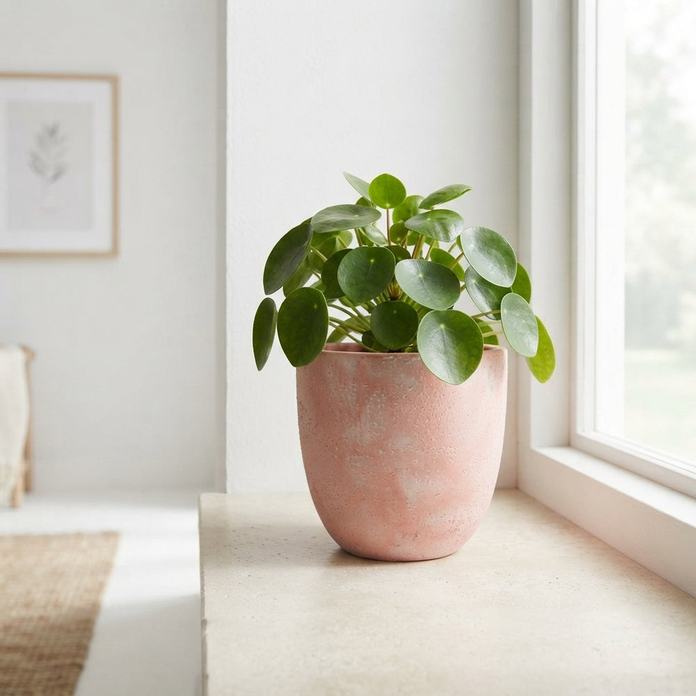 Decorative Eco Plant Pot – 12cm