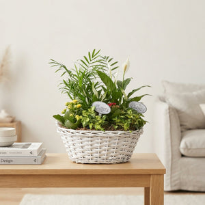 Mixed Colour Floral Arrangement – 3 Stems