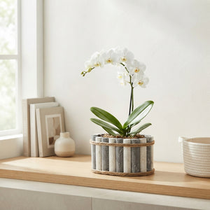 Mixed Colour Arrangement in Grey-White Oval Wooden Pot