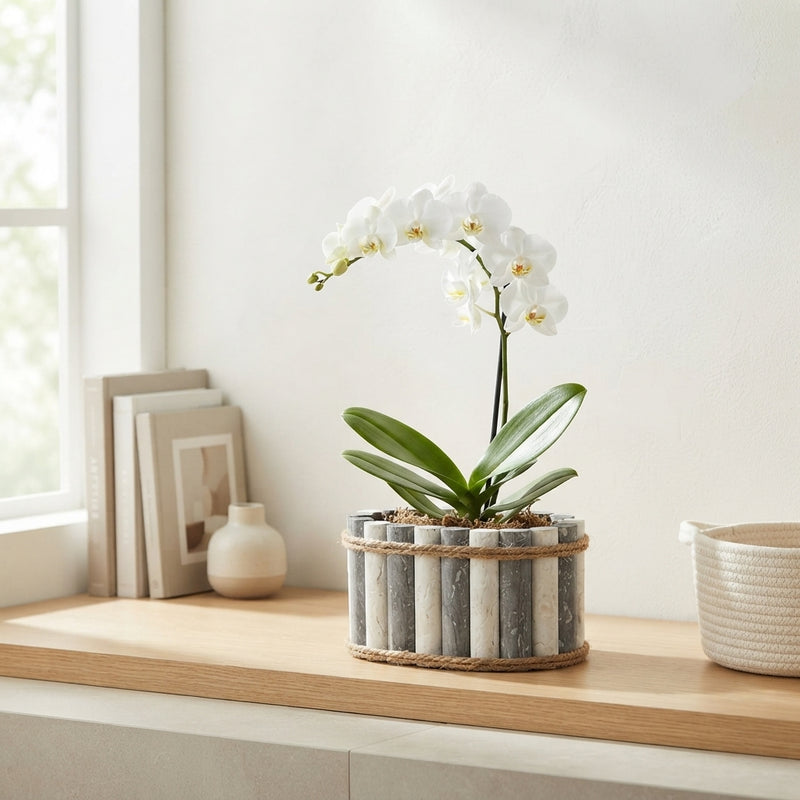 Mixed Colour Arrangement in Grey-White Oval Wooden Pot