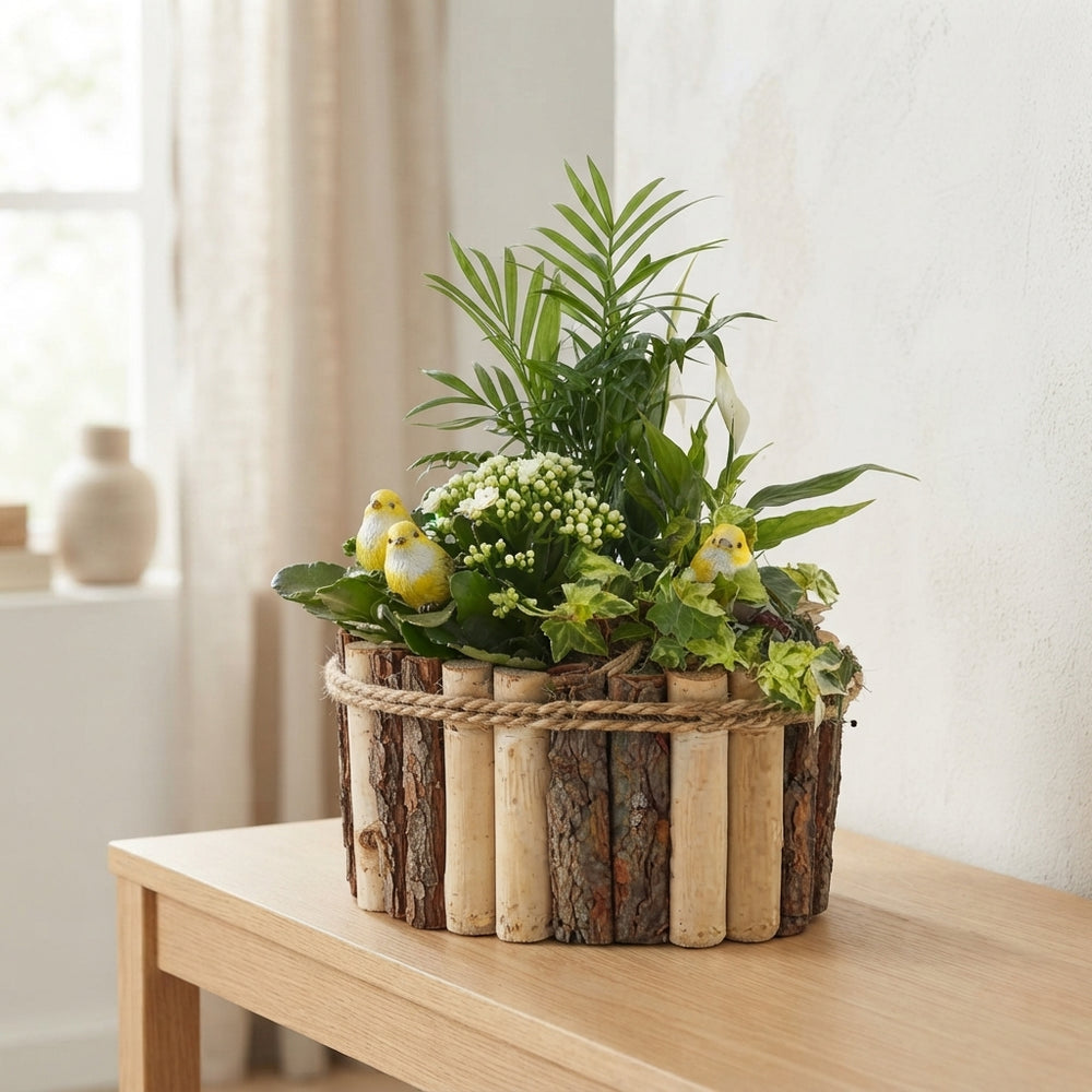 Mixed Colour Oval Wooden Plant Arrangement