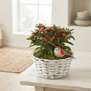 Mixed Colour Floral Arrangement – 3-Piece Display