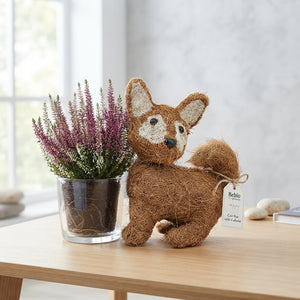 Decorative Indoor Plant Arrangement – 9.5cm Pot