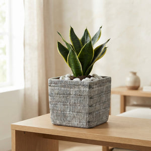 Decorative Bamboo Plant Pot