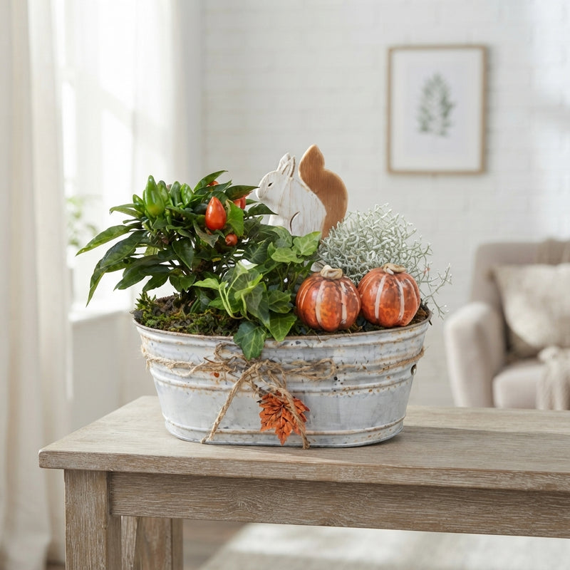 Garden Plant Arrangement in Zinc Pot – 25cm