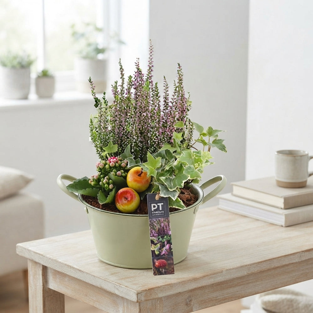 Zinc Plant Arrangement – 25cm Pot