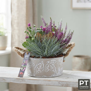 Zinc Plant Arrangement – 21cm Pot