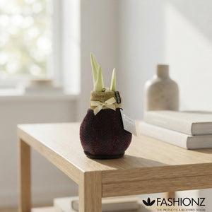 Waxed Hippeastrum ‘Fashionz Elegant’