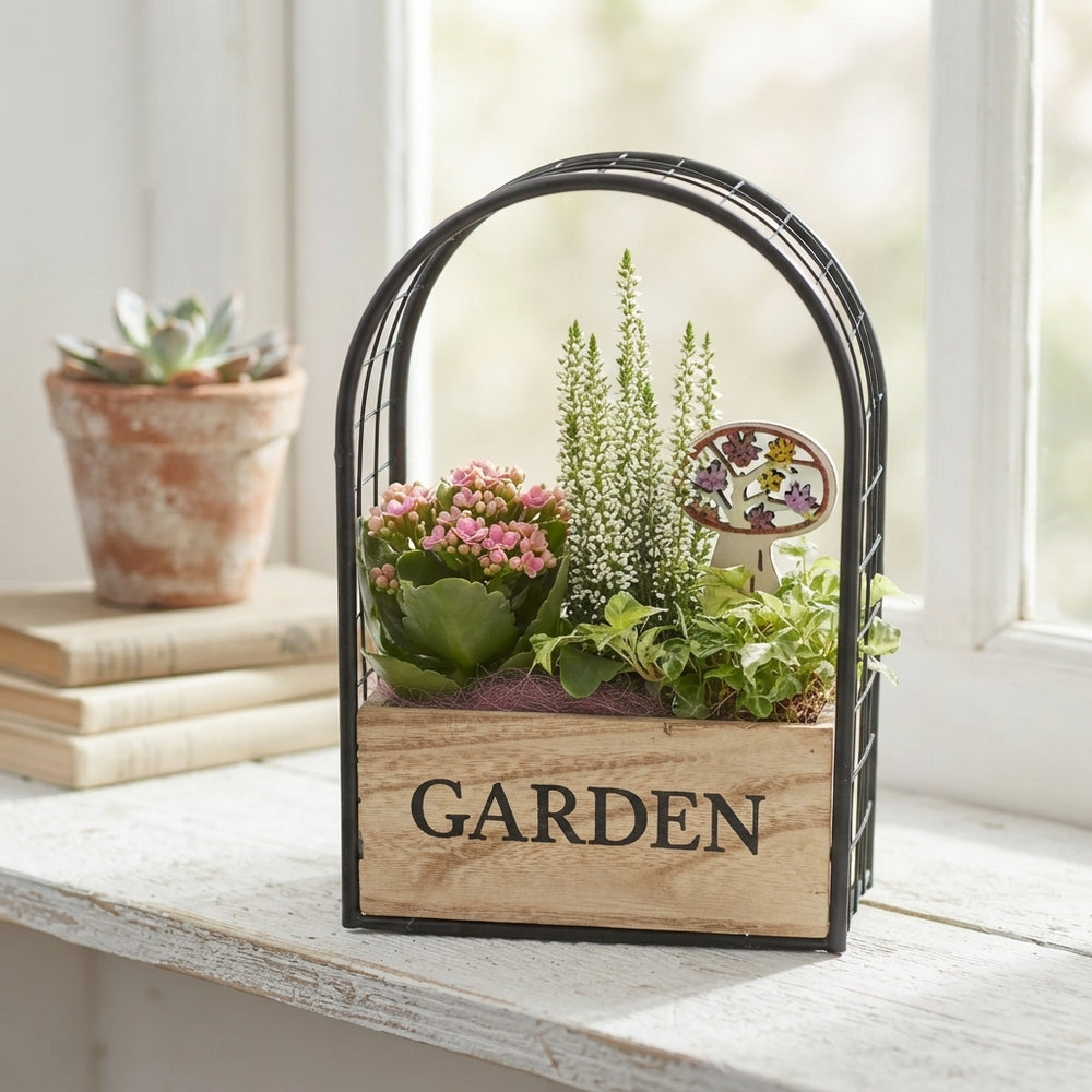 Mixed-Colour Garden Arrangement with Iron Frame