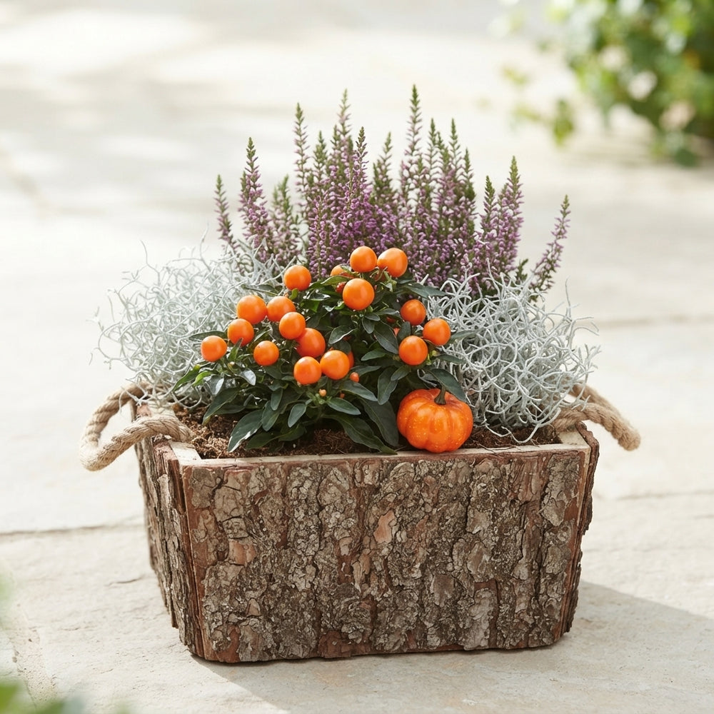 Mixed Colour Wooden Bark Arrangement