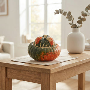 Ornamental Turkish Turban Gourds – Mixed Selection