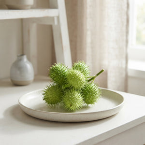 Ornamental Cucumber Decoration – Green