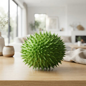 Ornamental Green Cucumis Fruits – Decorative Display