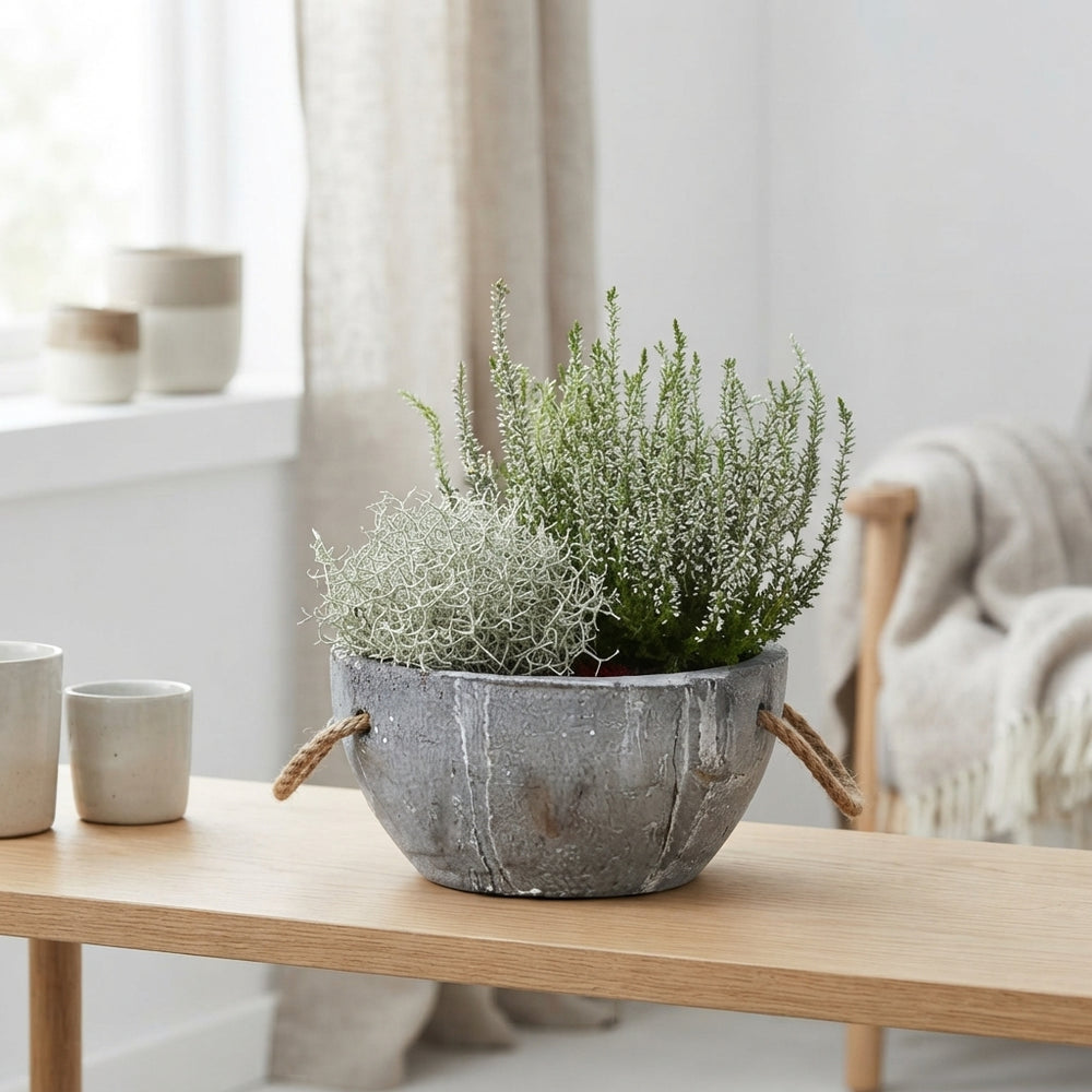 Garden Plant Arrangement in Concrete Tray – 24cm