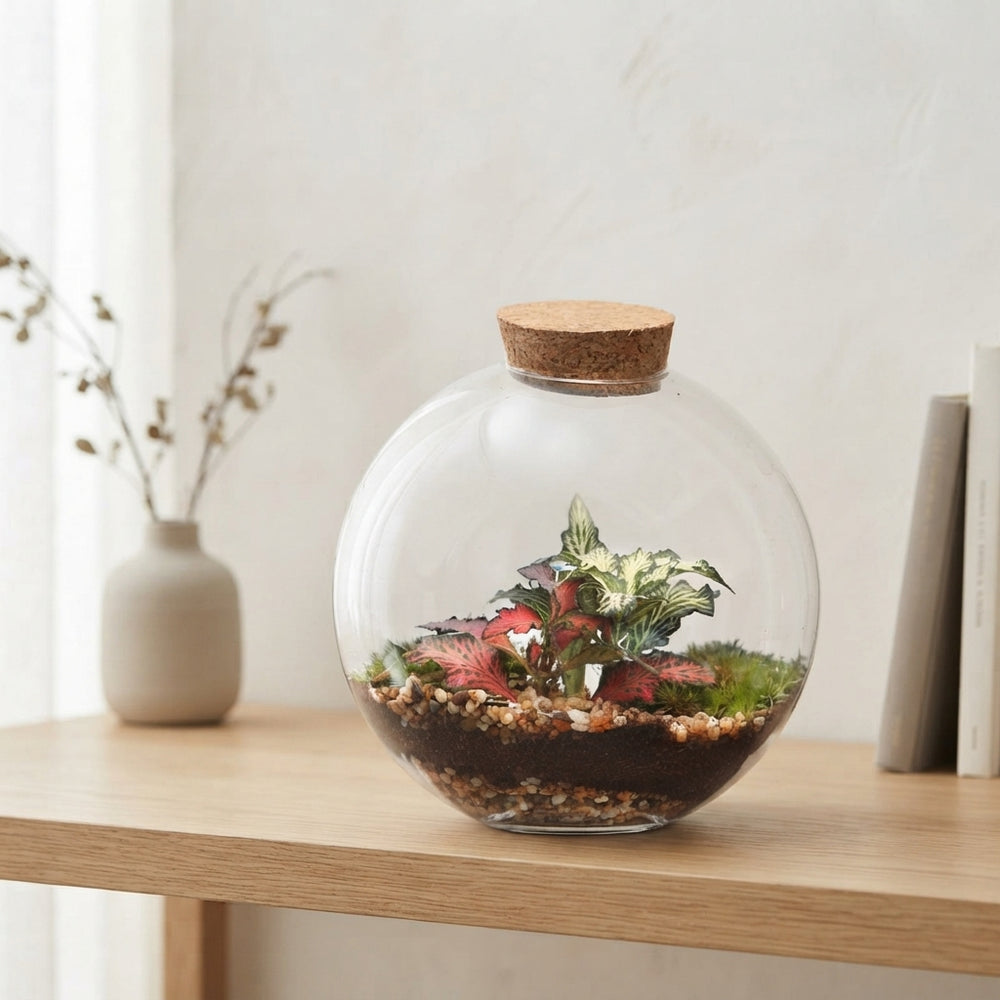 Juno Mixed-Colour Glass Terrarium – 12.5cm