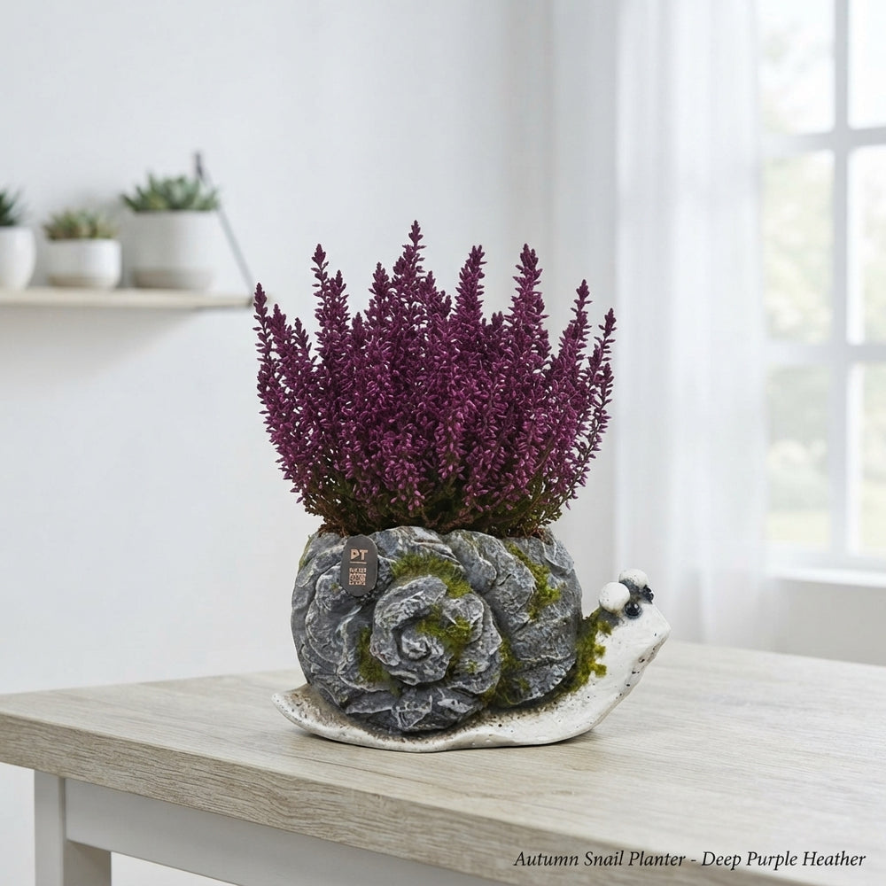 Autumn Outdoor Plant Arrangement – 21cm Concrete Pot