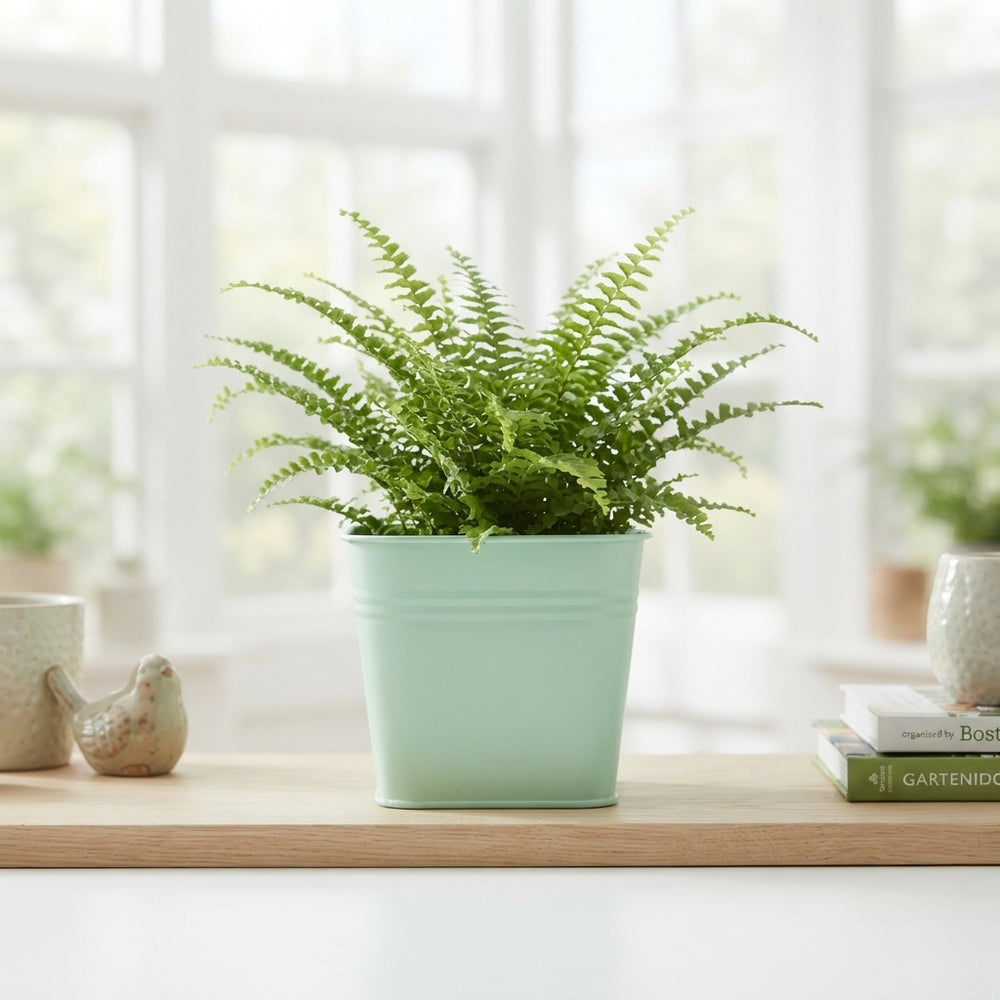 Decorative Wicker Zinc Planter – 16cm