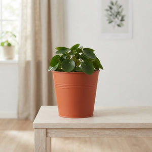 Decorative Zinc Plant Pot with Willow Finish – 13cm